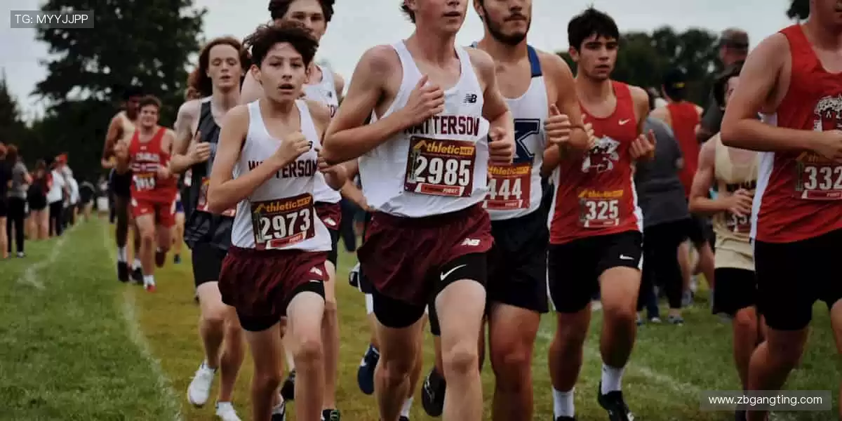 💻🎯 无插件直播，画质堪比现场！